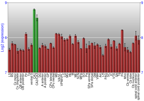 Multi-state expression graph