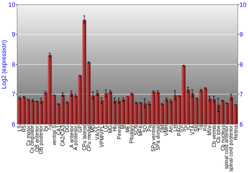 Expression graph