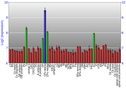 Multi-state expression graph
