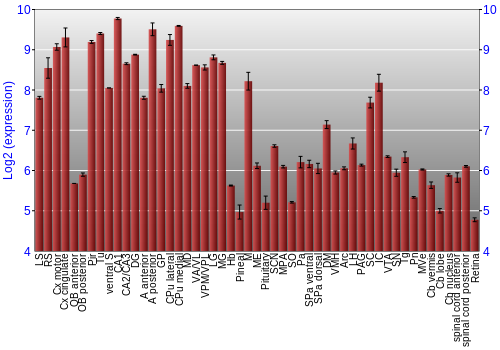 Expression graph