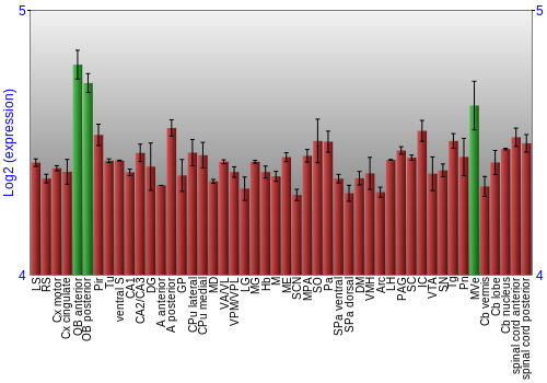 Multi-state expression graph