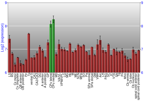 Multi-state expression graph