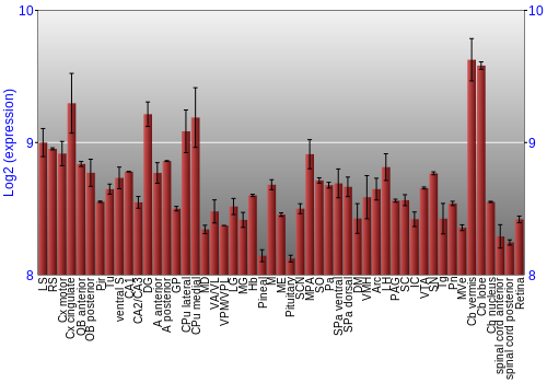 Expression graph
