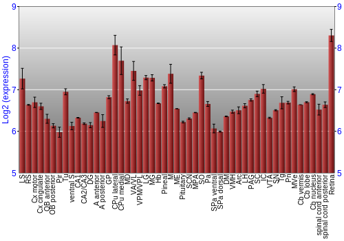 Expression graph