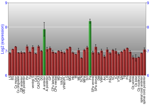 Multi-state expression graph
