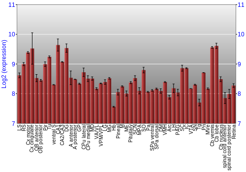 Expression graph