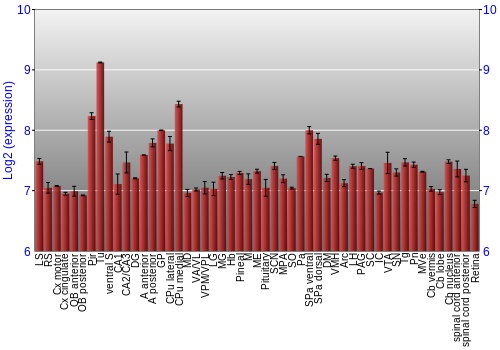 Expression graph