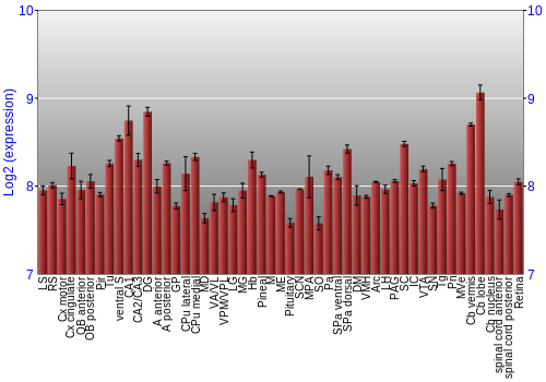 Expression graph