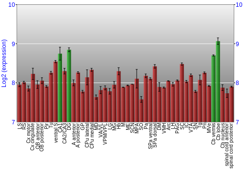 Multi-state expression graph