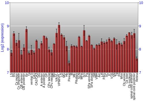 Expression graph