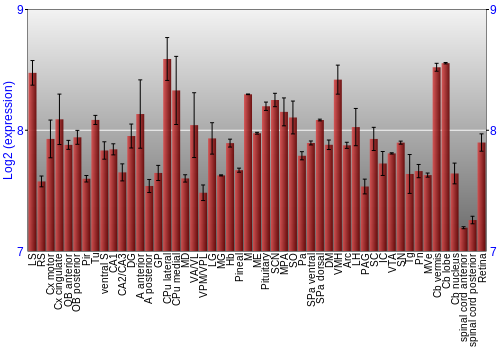 Expression graph