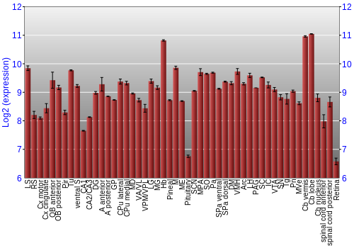 Expression graph