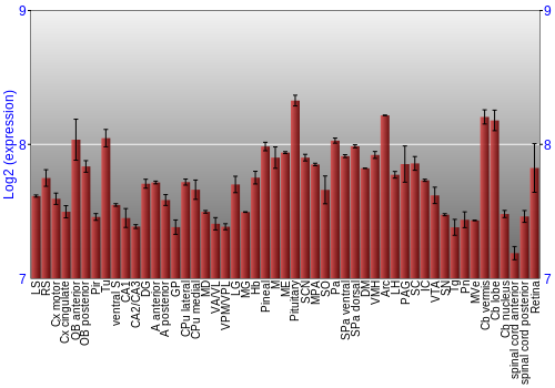Expression graph