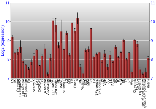 Expression graph