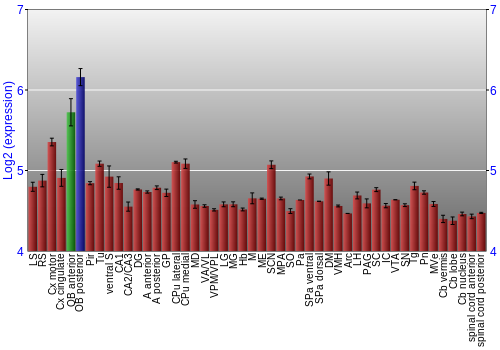 Multi-state expression graph