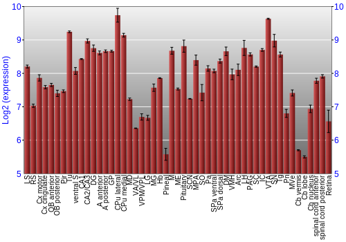 Expression graph