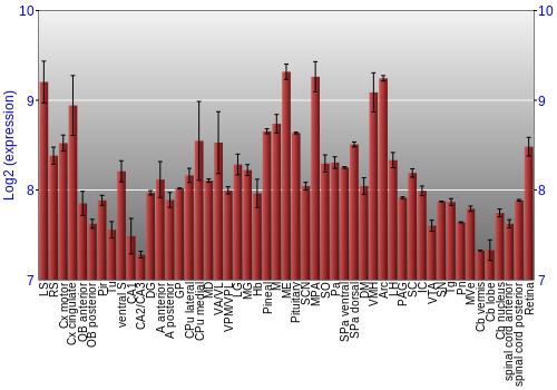 Expression graph