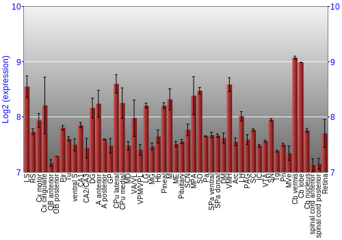 Expression graph