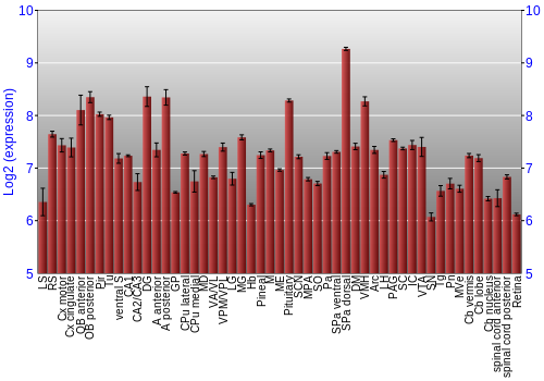 Expression graph