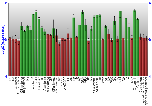 Multi-state expression graph