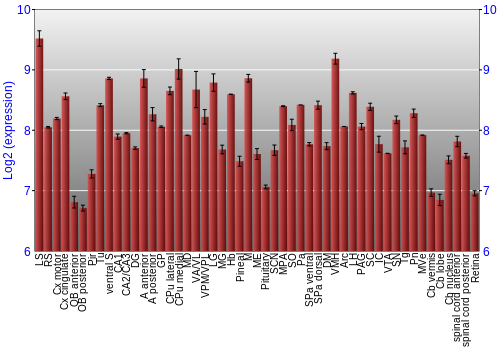 Expression graph