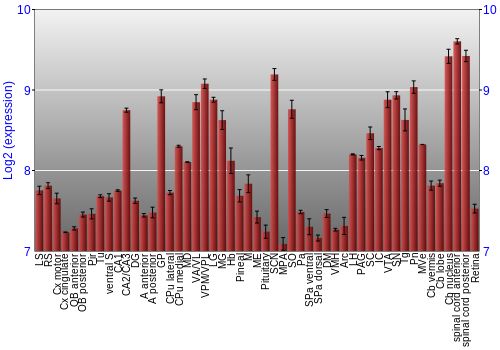 Expression graph