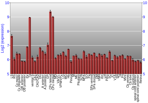 Expression graph