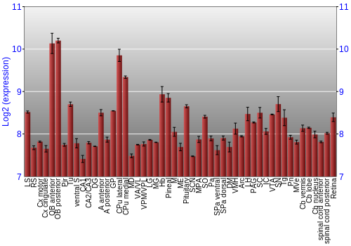 Expression graph