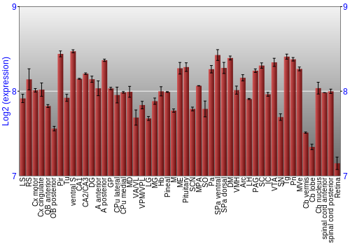 Expression graph