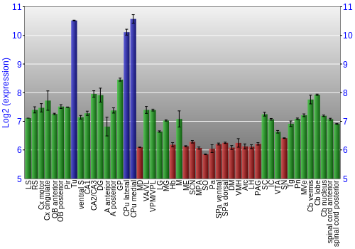 Multi-state expression graph