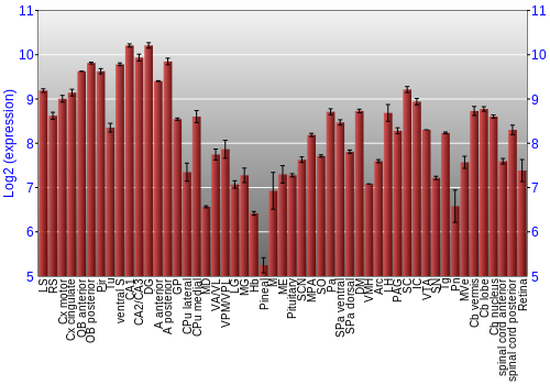 Expression graph