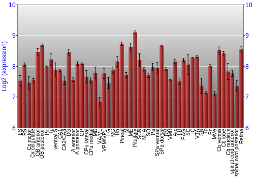 Expression graph