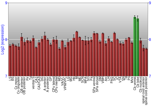 Multi-state expression graph