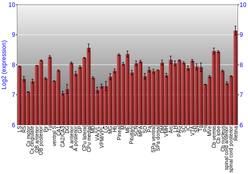 Expression graph