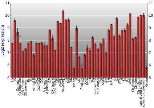 Expression graph