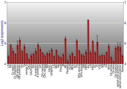 Expression graph