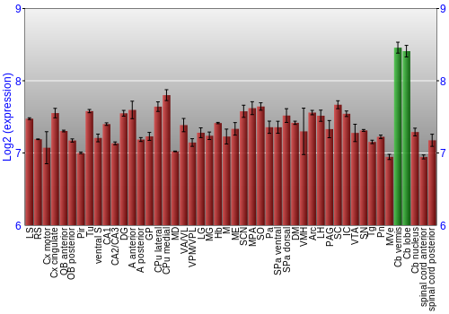 Multi-state expression graph