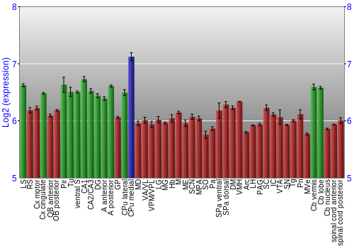 Multi-state expression graph
