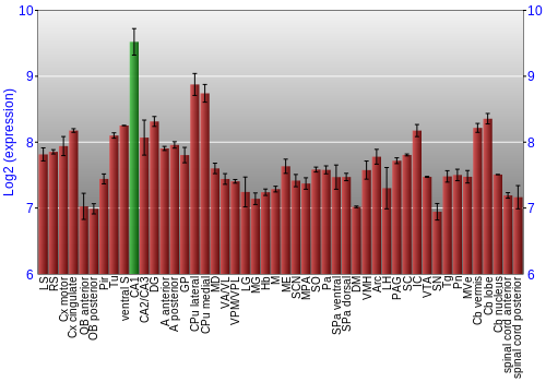 Multi-state expression graph