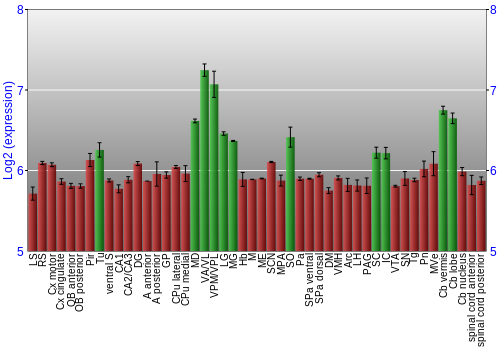 Multi-state expression graph
