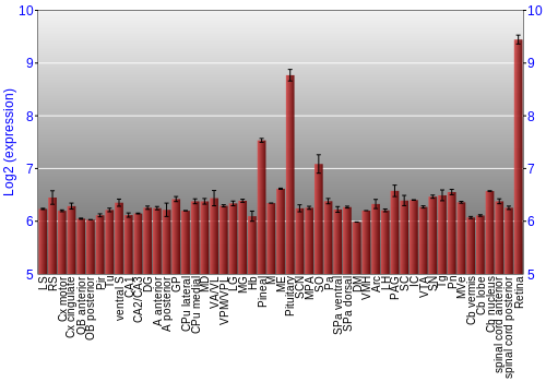 Expression graph