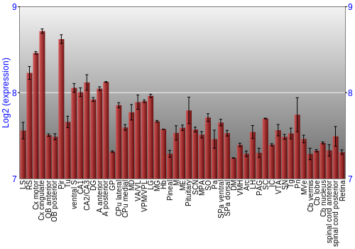 Expression graph