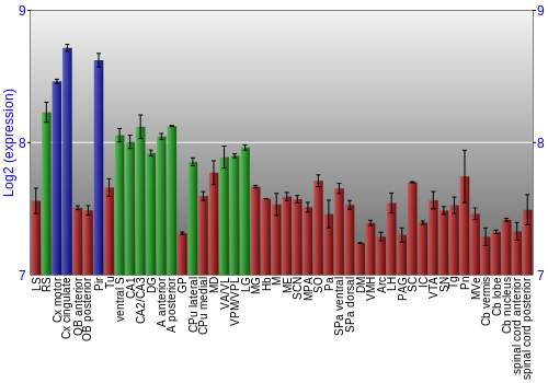 Multi-state expression graph