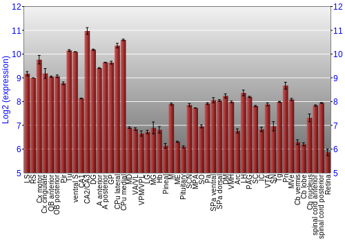 Expression graph