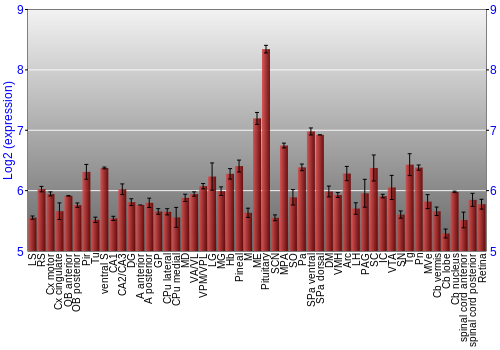 Expression graph