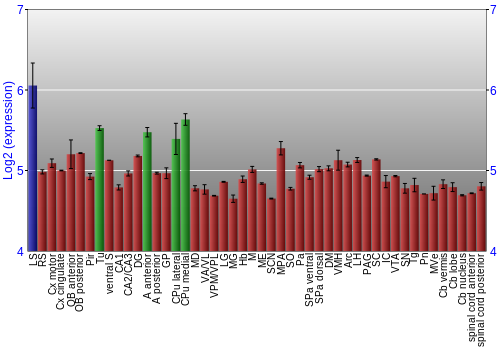 Multi-state expression graph