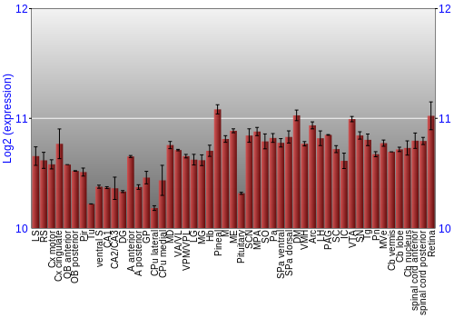 Expression graph