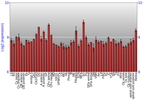 Expression graph