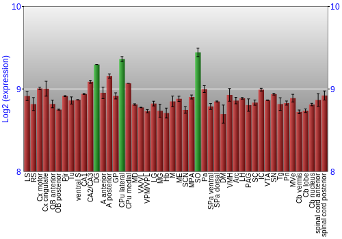 Multi-state expression graph