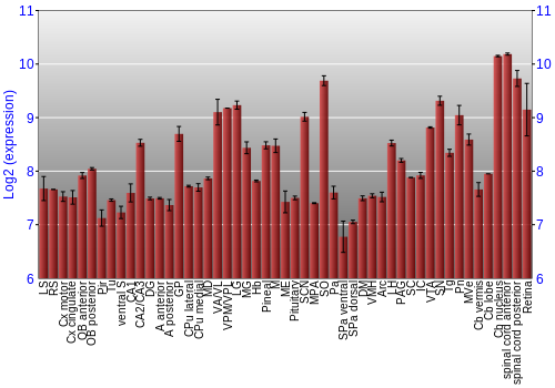 Expression graph